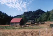 Red Roofed Barn